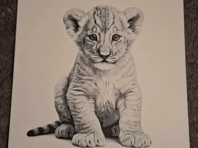HueForge model: Black and white - lion cub - 2 colours - hueforge by 3dGlow