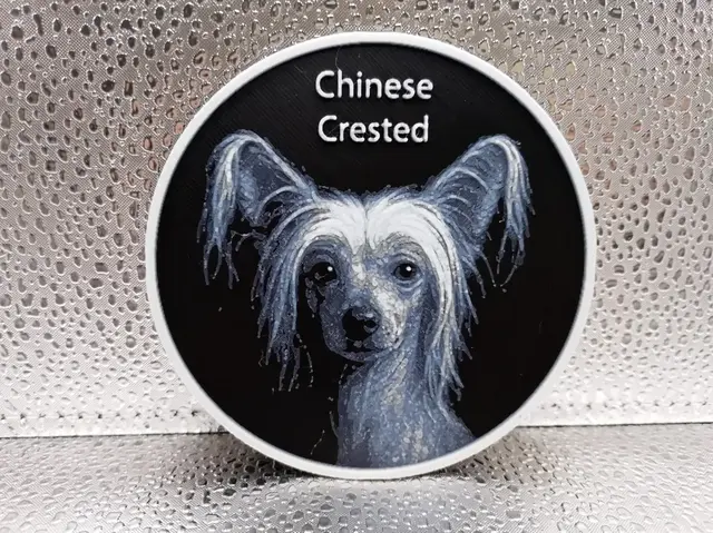 HueForge model: Chinese Crested Coaster hueforge by Borishotch Industries