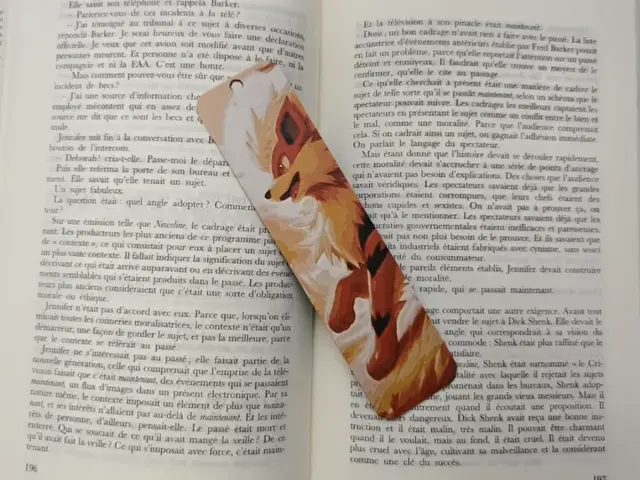 Bookmark Arcanin Pokemon