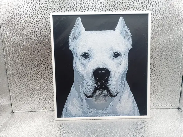 Dogo Argentino - Hueforge
