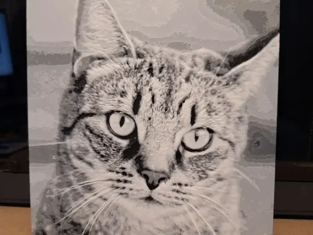 HueForge model: Felix the tabby cat - Hueforge - 3 colours by 3dGlow