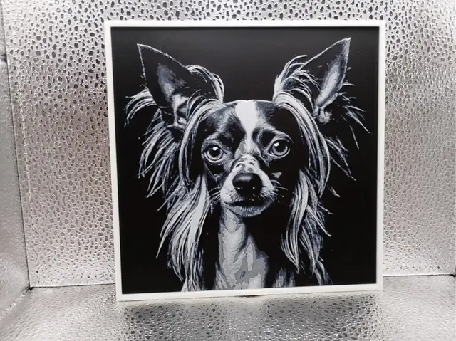 HueForge model: Chinese Crested – Hueforge by Borishotch Industries