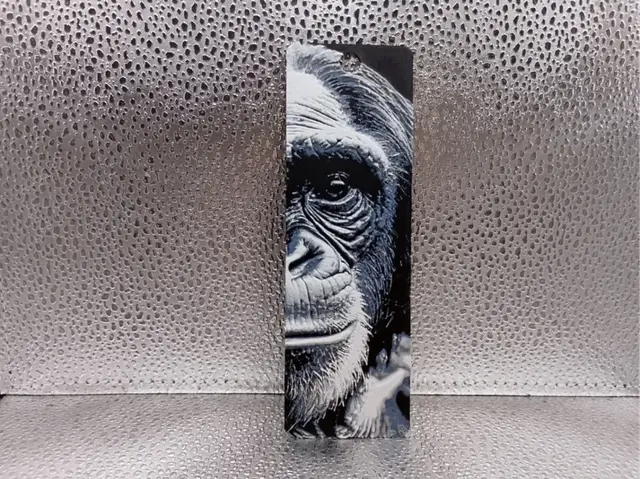 HueForge model: Chimpanzee Bookmark - Hueforge by Borishotch Industries