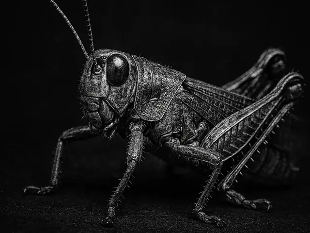 HueForge model: Hueforge Grasshopper by cterry2000