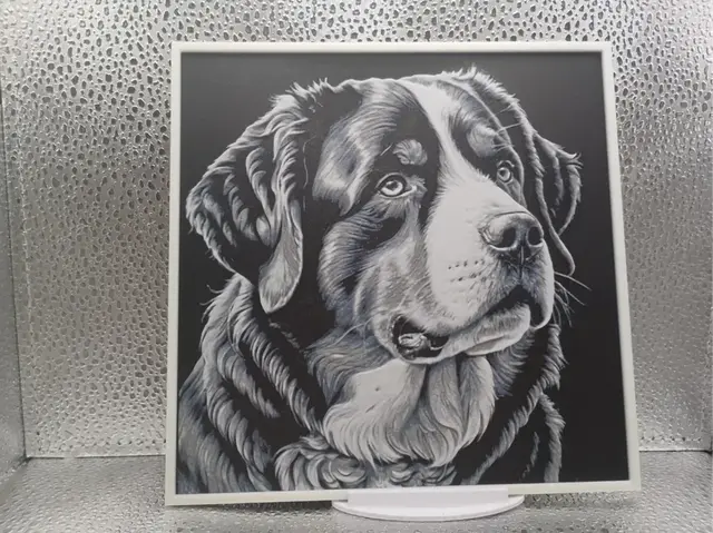 HueForge model: Bernese Mountain Dog hueforge by Borishotch Industries