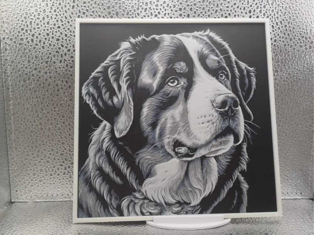 Bernese Mountain Dog hueforge by Borishotch Industries HueForge model: Bernese Mountain Dog hueforge by Borishotch Industries