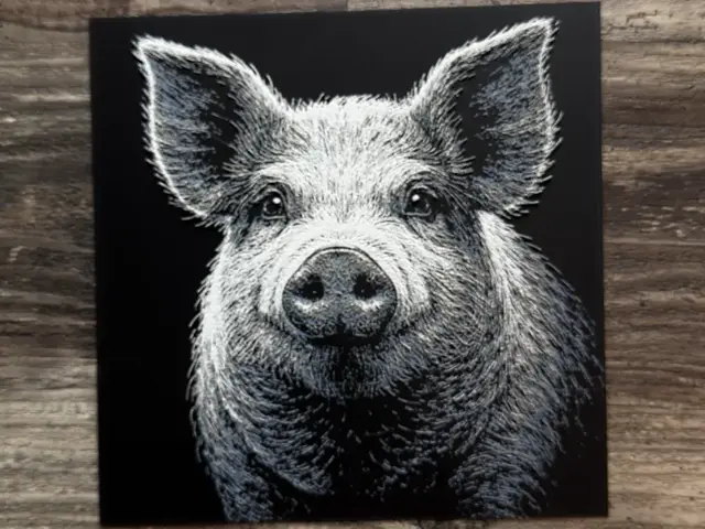 HueForge model: Pig Wildlife Series by novy