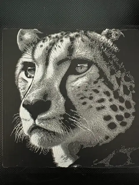 HueForge model: Cheetah by JustBe 3D Printing