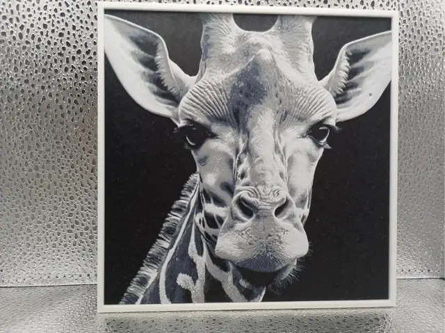 HueForge model: Giraffe – Hueforge by Borishotch Industries