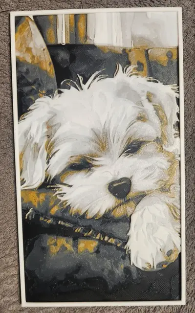 HueForge model: Cute Maltese - HueForge by keko