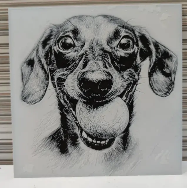 HueForge model: Hueforge dog with ball in mouth by Litolunar
