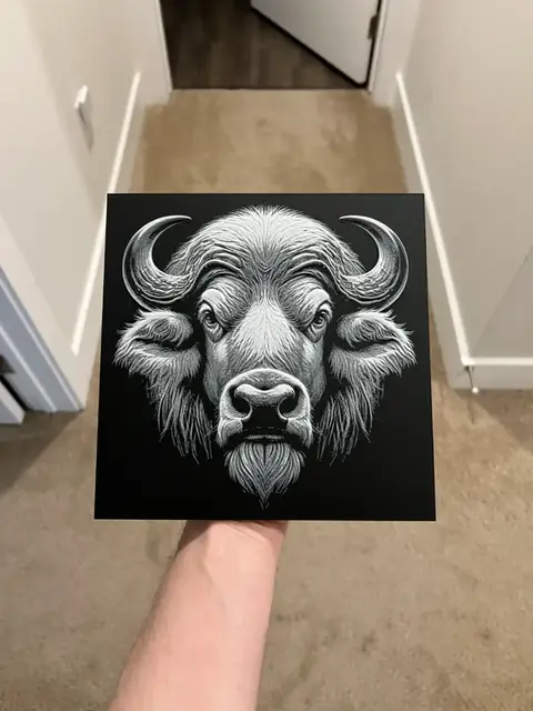 HueForge model: Buffalo Face Hueforge by RP47 Designs