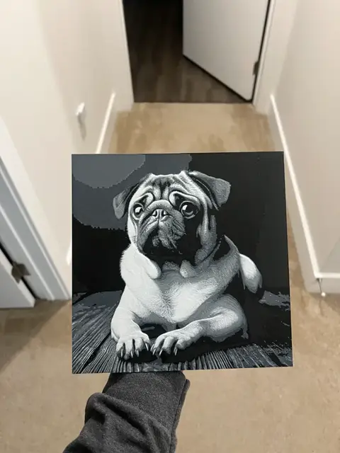 HueForge model: Pug Art Hueforge by RP47 Designs