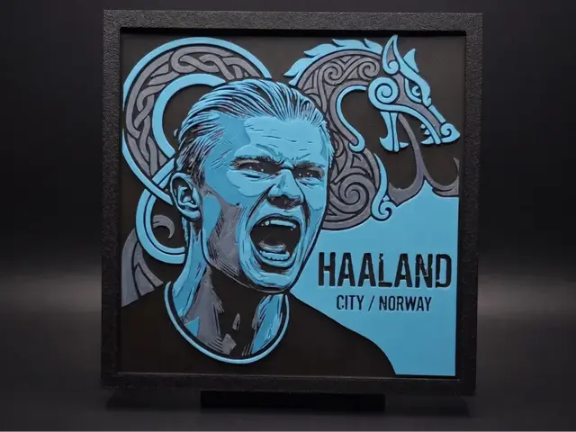 HueForge model: Haaland Portrait - Hueforge by LED