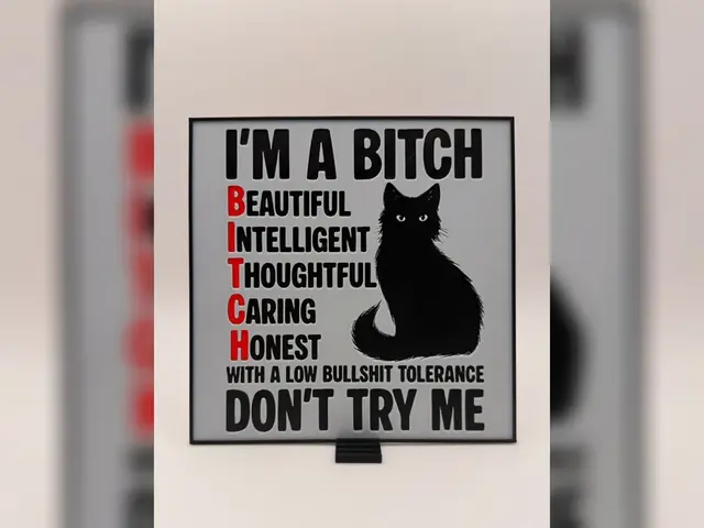 HueForge model: B.I.T.C.H. Cat HueForge Print by Thadius
