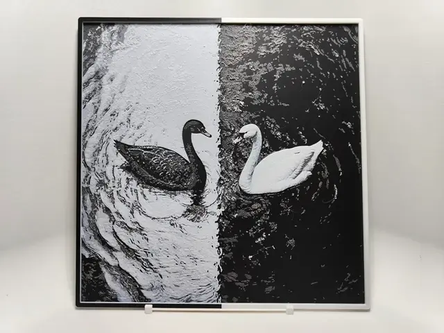 HueForge model: Black and White Swans - Hueforge by BeaN