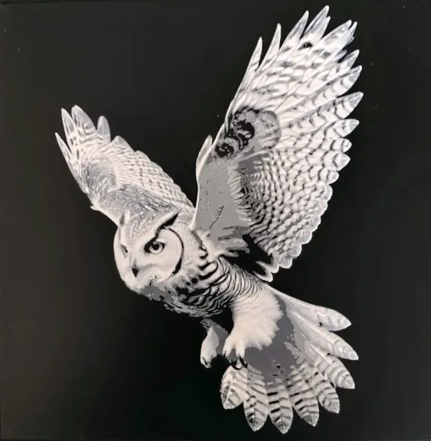 HueForge model: Owl (black&white) HueForge by fD.667
