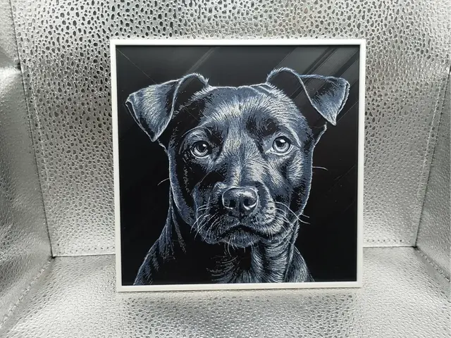 Patterdale Terrier - Hueforge