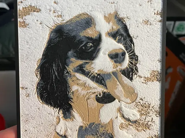 HueForge model: Beach Dog by Advancedtechworldwide