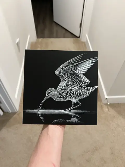 HueForge model: Curlew Art Hueforge by RP47 Designs