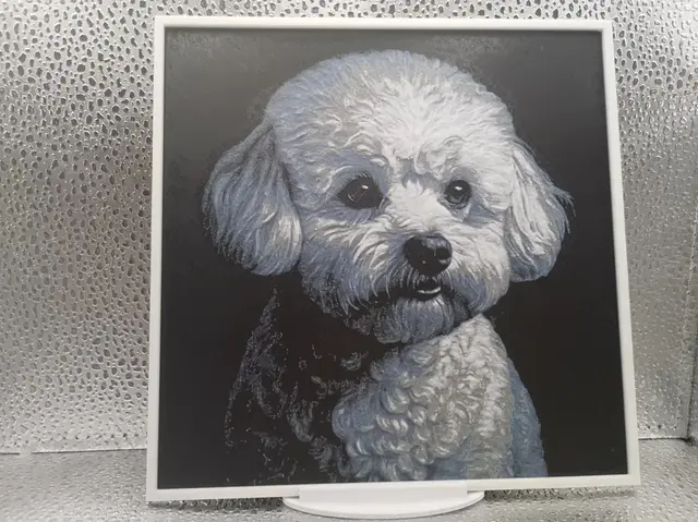 HueForge model: Bichon Frise hueforge by Borishotch Industries