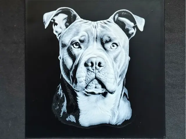 HueForge model: Pitbull HueForge by fD.667