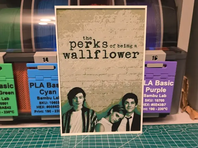 HueForge model: The Perks of Being a Wallflower Movie - Hueforge by Lumpy3D