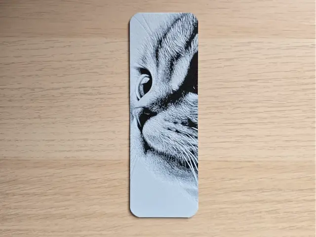 HueForge model: Kitten 6 Bookmark by Atrus Design