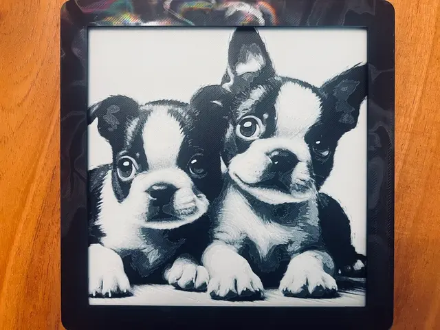 HueForge model: Puppies (Black and White) by JustBe 3D Printing