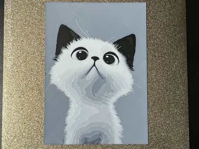 HueForge model: Wide-Eyed Wonder Cat Hueforge by FantasyZ