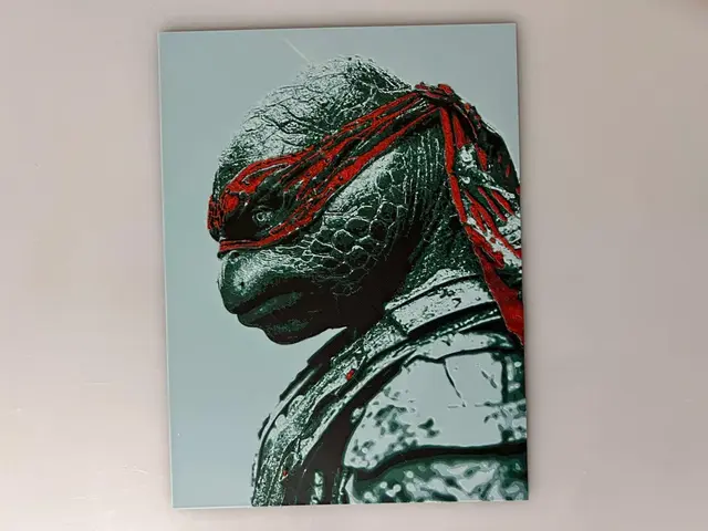 HueForge model: Teenage Mutant Ninja Turtles - 1 Print for 4 TMNT by 3djd