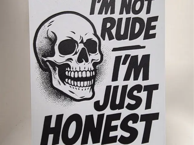 HueForge model: IM NOT RUDE Hueforge by Morganja