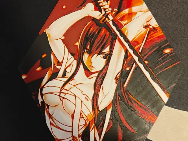 HueForge model: Hueforge Erza Scarlet (Fairy Tail) honeycomb mode by JGz3DMaker