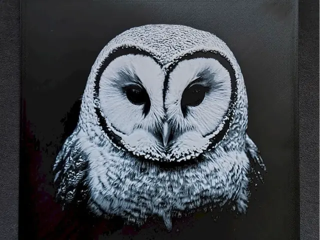 HueForge model: Owl HueForge by fD.667