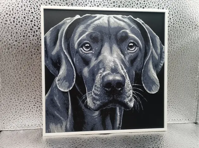 HueForge model: Weimaraner – Hueforge by Borishotch Industries