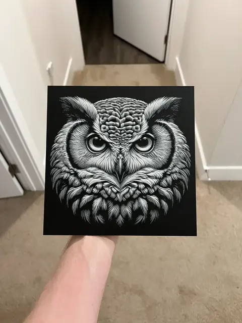 HueForge model: Grayscale Owl Hueforge by RP47 Designs