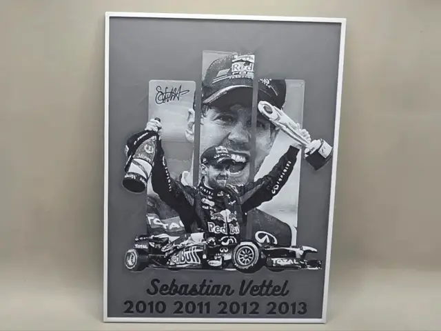 Sebastian Vettel - HueForge