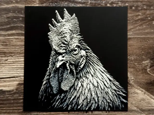 HueForge model: Rooster Wildlife Series by novy