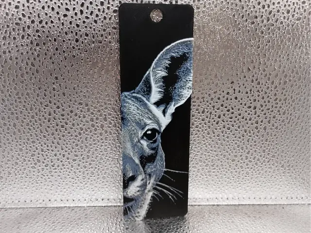 HueForge model: Kangaroo Bookmark – Hueforge by Borishotch Industries