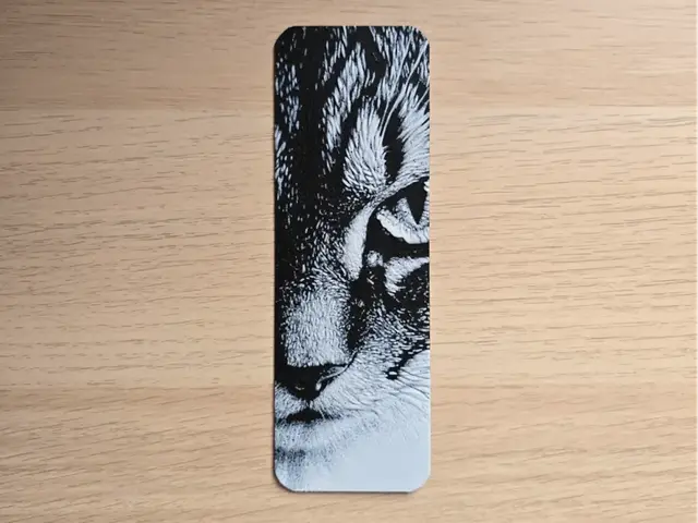 HueForge model: Kitten 6 Bookmark by Atrus Design