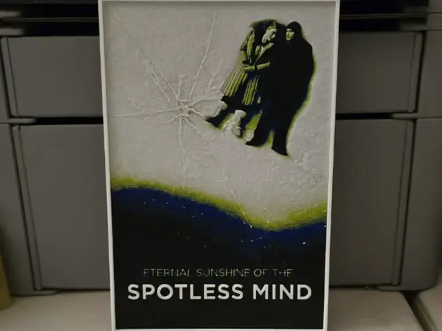 HueForge model: Eternal Sunshine of the Spotless Mind - Hueforge by Lumpy3D