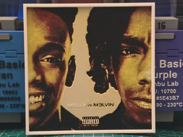 HueForge model: YNW Melly "Melly vs. Melvin" Album - Hueforge Art by Lumpy3D