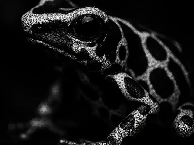 HueForge model: Hueforge Poison Dart Frog by cterry2000