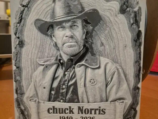 HueForge model: chuck norris tribute hueforge by Buntsta