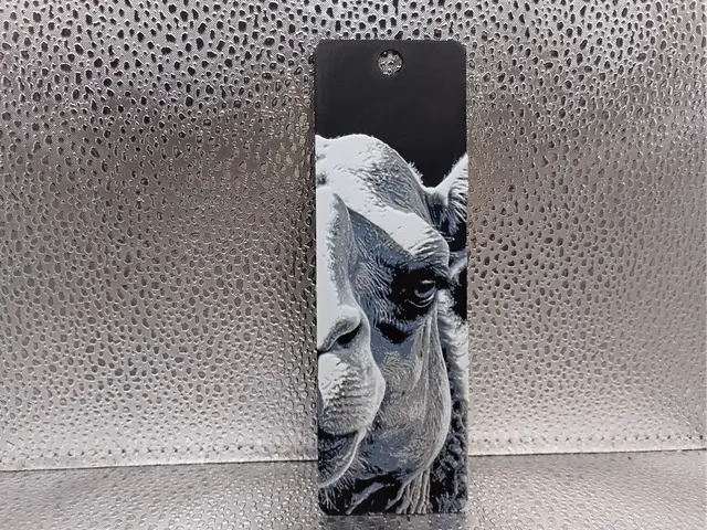 HueForge model: Camel Bookmark – Hueforge by Borishotch Industries
