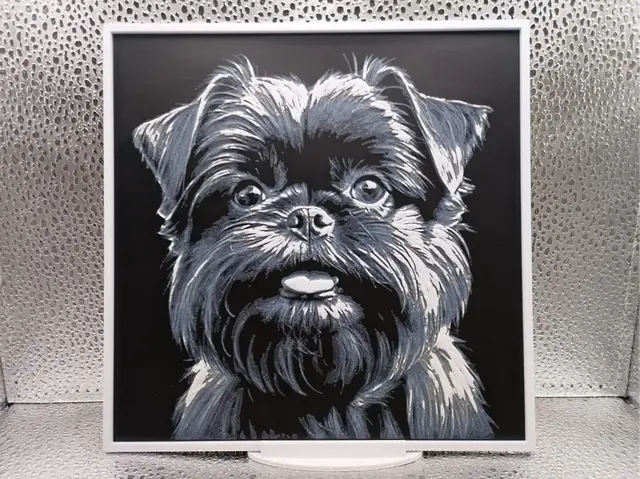 HueForge model: Affenpinscher Hueforge by Borishotch Industries