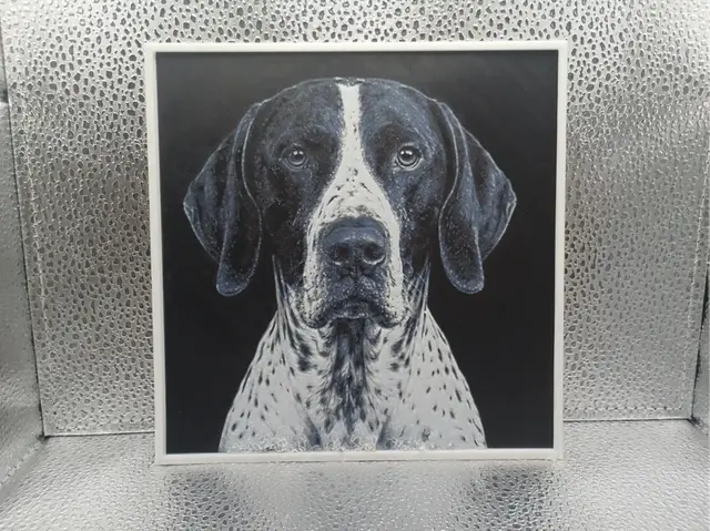 HueForge model: English Pointer - Hueforge by Borishotch Industries