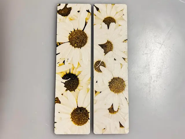 HueForge model: Daisies - Bookmark Set by 3djd