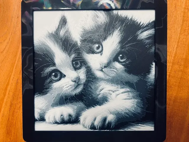 HueForge model: Kittens (Black and White) by JustBe 3D Printing