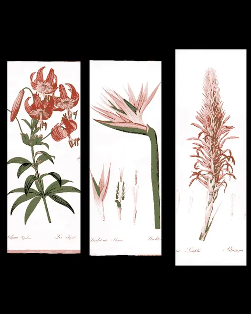 The pages of vintage botany books are true works of art - Set of bookmarks